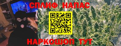 амф Бийск
