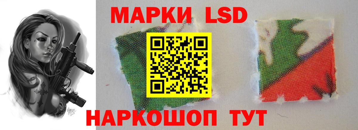 блэк спрут вход  ЛСД экстази  Вход с VPN  LSD-25 экстази кислота  Лсд 25 экстази кислота  Волжск 